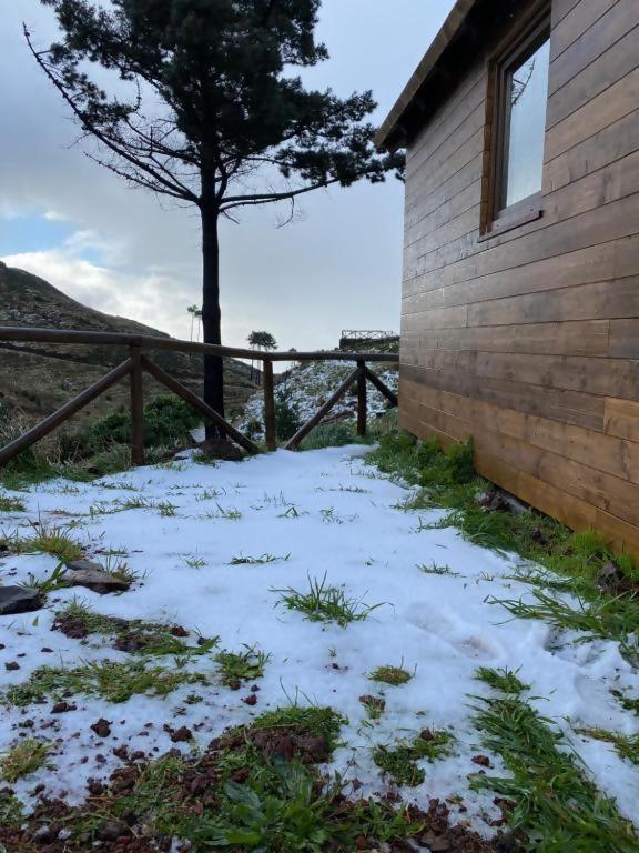 Mountain Eco Shelter 2 호텔 푼샬 외부 사진
