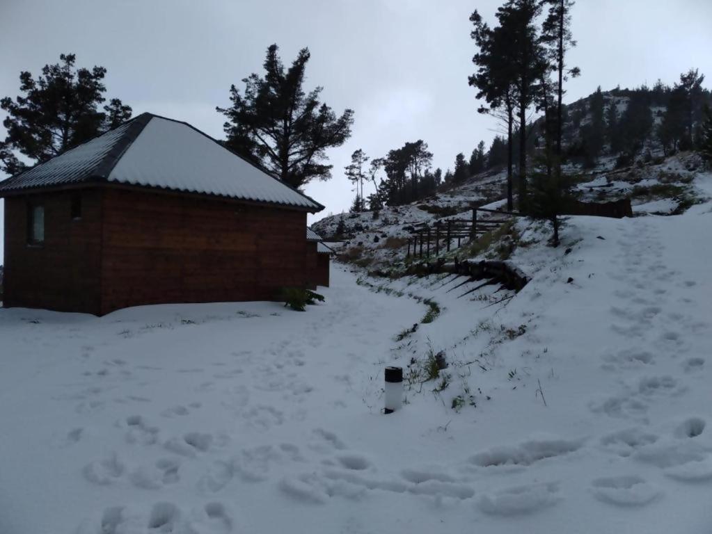 Mountain Eco Shelter 2 호텔 푼샬 외부 사진