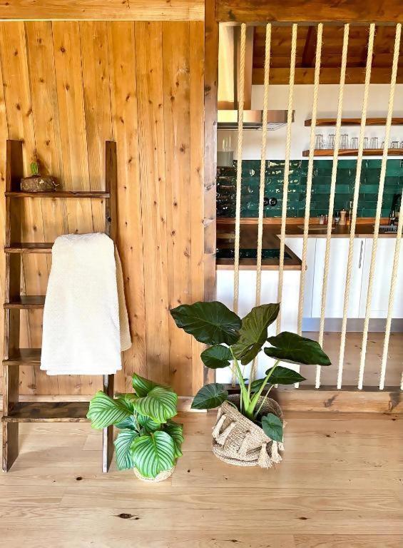 Mountain Eco Shelter 2 호텔 푼샬 외부 사진